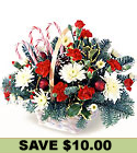 FTD Candy Cane Lane Arrangement