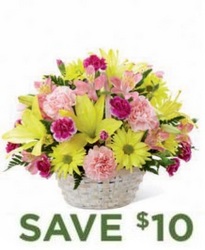 Basket Of Cheer Bouquet<br><b>Same Day Delivery from Flowers All Over.com 