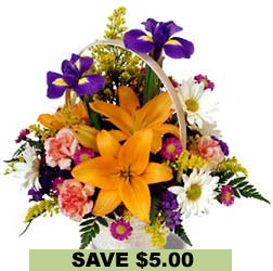 FTD Natural Wonders