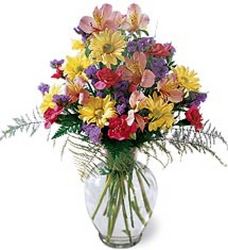 Festive Wishes Bouquet<b> from Flowers All Over.com 