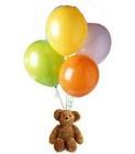 High Flying Teddy