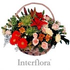 Basket Arrangement<br> of Seasonal Flowers