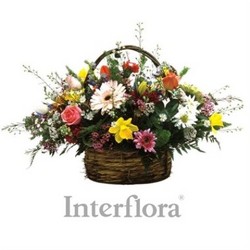 Burst of Spring<br> Basket Arrangement 