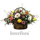 Burst of Spring<br> Basket Arrangement