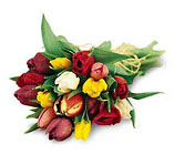 Mixed Tulip Wrapped Bouquet