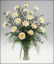 White Carnation Vase of Innocence