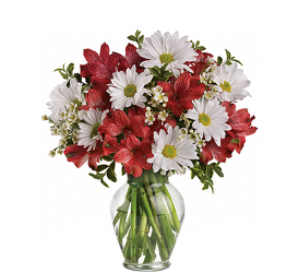 Daisies & Lilies<br>Sympathy Vase<br><b>Free Delivery from Flowers All Over.com 