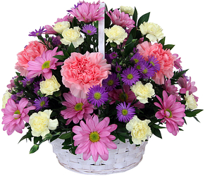 Hello Spring!<br><b>FREE DELIVERY from Flowers All Over.com 