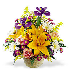 Natural Wonders Bouquet<br><b>FREE DELIVERY from Flowers All Over.com 