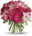 /images/FAO-PIPlg.jpg Precious Pinks