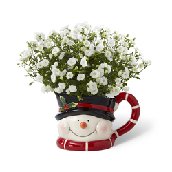 Frosty's Winter Wonderland<BR><B>FREE NEXT DAY DELIVERY from Flowers All Over.com 