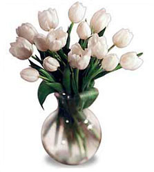 Spring Tulip Bouquet