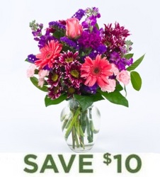 Purple Passion<BR><B>FREE NEXT DAY DELIVERY from Flowers All Over.com 