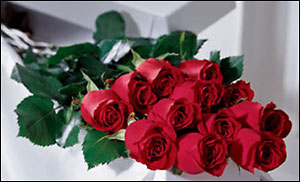 12 Red Roses Hand tied (no vase)
