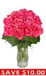 One Dozen Long Stem Pink Roses 