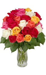 24 Mixed Color Roses