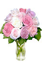 12 Pastel Long Stem Roses