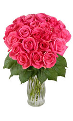 Two Dozen Pink Long Stem Roses 
