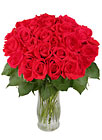 24 Long Stem Red Roses <b>FREE Vase</b>