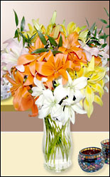MIXED LILIES