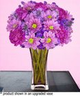 Purely Purple
