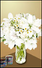 White Elegance