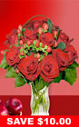 12 Red Designer Long Stem Roses