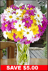 Spring Chrysanthemums from Flowers All Over.com 