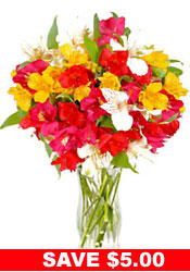 Alstroemeria Arrangement