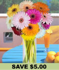 Mixed Gerbera Daisies w/Vase