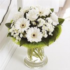 Perfect Gift (White)