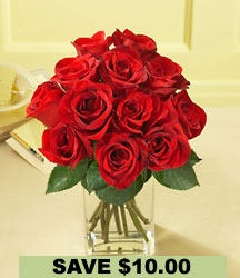 Red Roses (One Dozen) 