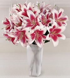 One Heart, Many Blooms Bouquet<br> w/Free Vase