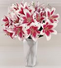 One Heart, Many Blooms Bouquet w/Free Vase