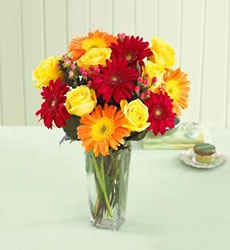 Best Wishes Rose & Daisy Bouquet w/Vase    