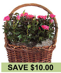 Rose Garden Basket