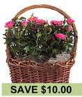/images/WG910N_Save10lg.jpg Rose Garden Basket