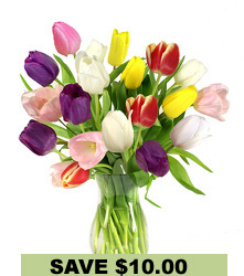 Spring Tulip Bouquet<BR>(15 Stems)<br>with Free Vase