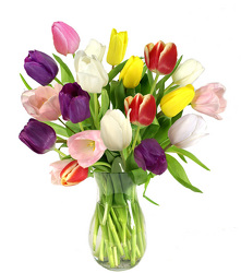 Tulip Bouquet<BR>(15 Stems)<BR><B>FREE NEXT DAY DELIVERY from Flowers All Over.com 