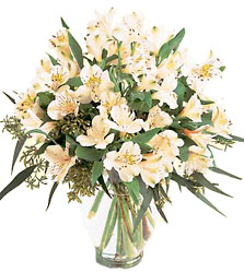 Winter's Elegance Bouquet<b> from Flowers All Over.com 