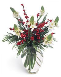 FTD Winterfresh Bouquet