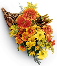 Bountiful Color Cornucopia