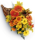 Bountiful Color Cornucopia