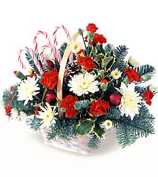 FTD Candy Cane Lane Arrangement