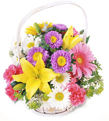 FTD Happy Blooms Basket