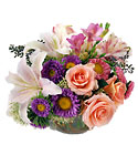 /images/ftd04white/C17-3021lg.jpg The FTD Sunshine Daydream Arrangement