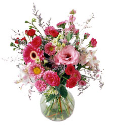 Splendid Day Bouquet<b> from Flowers All Over.com 