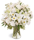 /images/ftd04white/S30-4224lg.jpg Wings of an Angel