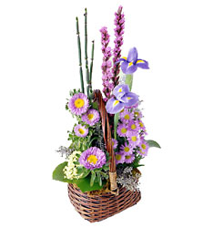 FTD Sweet Peace Basket
