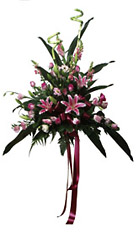 China- Standing Arrangement